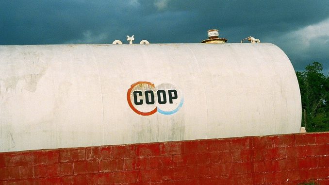 Coop